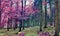 Infra red view into a magical pink and purple forest