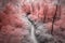 Infrared aerial view of a hiker trekking through a lush forest, captured with an infrared drone camera. Generative AI