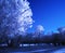 Infrared Old Cemetery Field