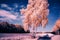 An infrared photo of a cherry blossom tree in the middle of a field