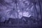 Infrared photography of palms and bungalows