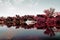 Infrared photography of a river and a motorboat and landscape in Miami Beach, Florida, USA