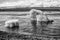 Infrared view of Jokulsarlon Lagoon with icebergs along Diamond Beach in summer season