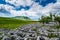 Ingleborough mountain with limestone pavement. Yorkshire Dales National Park