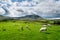 Ingleborough mountain. Yorkshire Dales National Park