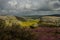 Ingleborough National Nature Reserve