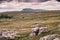 Ingleborough from Winskill Stones above Langcliffe near Settle in the Yorkshire Dales