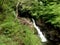 Ingleton Waterfall Stream