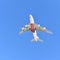 INGLEWOOD, CALIFORNIA - 12 FEB 2022: An Emirates Jet Airliner flies overhead against a blue sky
