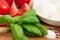 Ingredients for italian caprese