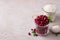 Ingredients for vegan cranberry pudding or porridge: semolina, fresh cranberries, vanilla sugar on light beige background