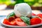 Ingredients for vegetarian caprese salad, ball of buffalo mozzarella cheese, fresh basil, tomatoes. Italian food served outdoor on