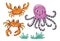 Inhabitants of the sea ocean octopus crab algae drawing