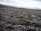 Inhospitable landscape of Stanley Island, Falkland Islands - Malvinas