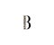 Initial B Letter with Luxury Leopard Pattern Logotype