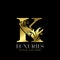 Initial Decorative luxury K Golden letter logo design template vector