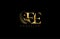 Initial EE letter luxury beauty flourishes ornament golden monogram logo