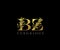 Initial letter B and Z,  BZ Gold Logo Icon, classy gold letter monogram logo