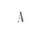 Initial A Letter with Luxury Leopard Pattern Logotype