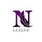 Initial Letter N Logo with feather. Trendy Design concept luxury feather element