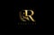 Initial R letter luxury beauty flourishes ornament golden monogram logo