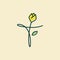 Initial yellow tulip flower T