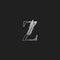 Initial Z Letter Logo icon Luxury Feather. Monochrome design concept luxury feather element and outline letter logo icon