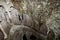 Initiation Well - Sintra - Portugal