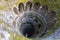 Initiation Well, Sintra, Quinta da Regaleira. Old spiral staircase