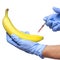 Injection into banana isolated on white background. Genetically modified fruit and syringe