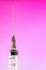 injection syringe with needle vertically on pink background
