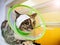 Injured cat with Band-Aid at head in green elizabethan collar on red pet bed