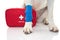 INJURED DOG. CLOSE UP PAW LABRADOR WITH A BLUE BANDAGE OR ELASTIC BAND ON FOOT AND A EMERGENCY OR FIRT AID KIT