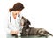 Injured Dog Looking Up at Caring Veterinarian