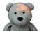 Injured Teddy Bear plasters head isolated