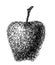 Ink apple silhouette curly line