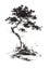 Ink illustration of growing pine tree. Sumi-e stile.