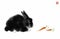 Ink painting with black fluffy rabbit eating carrot on white background. Traditional oriental ink painting sumi-e, u-sin
