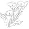 Ink sketch Calla flower