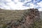 Inka ruins with Andens, stair-step like agricultural terrace dugs into the slope of a hillside in Pisac Archeological park, Peru