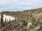 Inkawasi Island in Uyuni. Bolivia, south America.