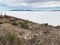 Inkawasi Island in Uyuni. Bolivia, south America.