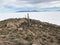 Inkawasi Island in Uyuni. Bolivia, south America.