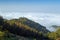 Inland Gran Canaria, view over the tree tops towards cloud cover