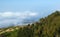 Inland Gran Canaria, view over the tree tops towards cloud cover