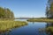 Inlet of a little calm stream to a lake with trees on both sides