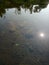 Inly see water you an see The Sun in river and Fish surrounding the sun