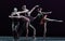 InMomentum-Classical ballet `Austen collection`