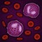 Innate immune system: eosinophils cells in blood, vector illustration