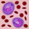 Innate immune system: monocytes cells in blood, vector illustration
